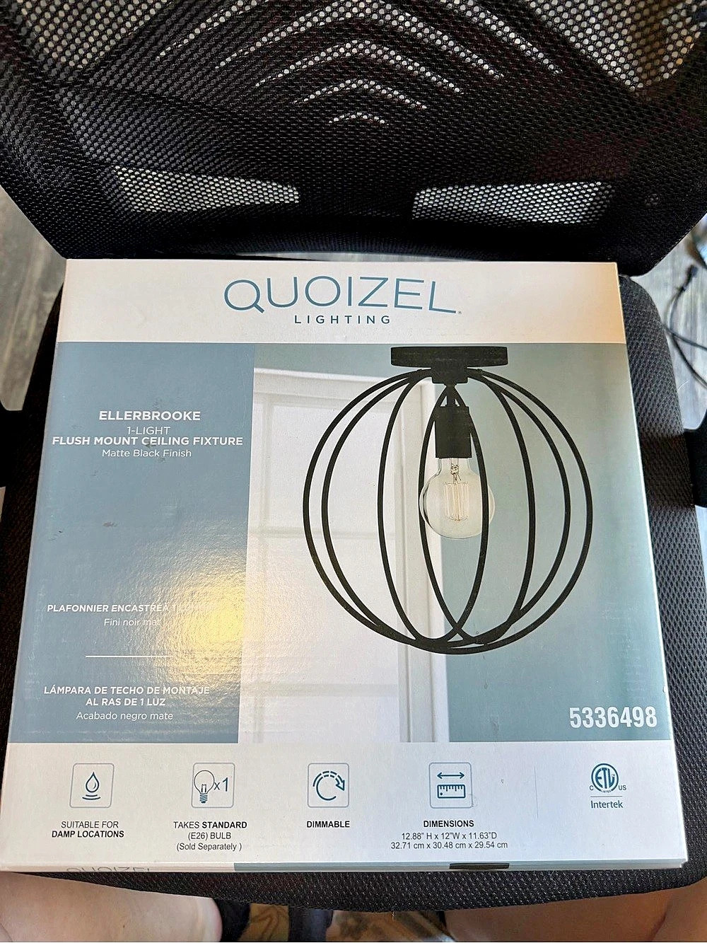 NEW UNOPENED BOX Quoizel Ellerbrook 1-Light Flush Mount Ceiling Fixture Black